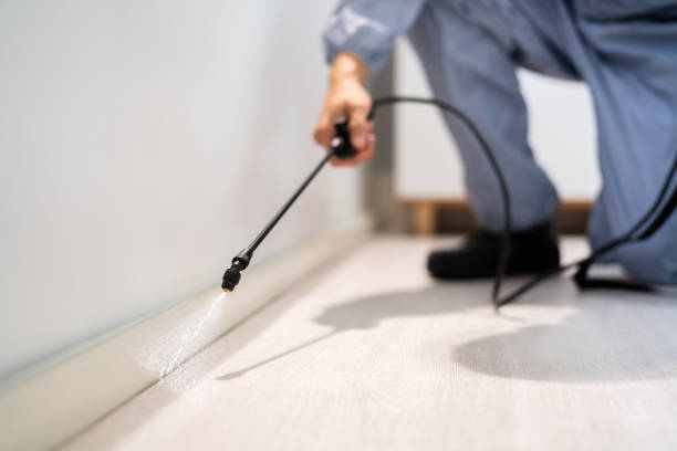 Licensed Termite Control service in Bossier City, LA - Nex Pest Control