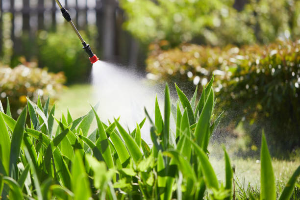24/7 Emergency Termite Control experts in Bossier City, LA