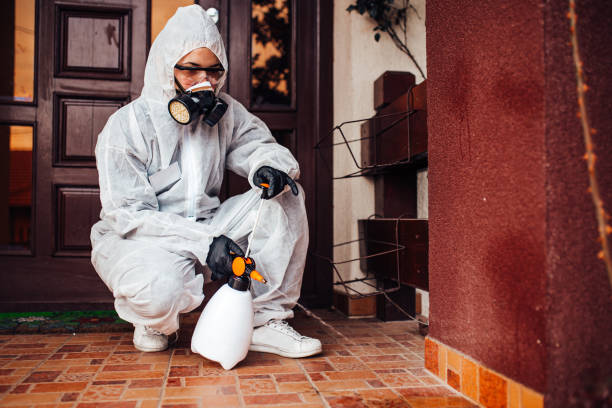 Reliable Termite Control contractor in Bossier City, LA by Nex Pest Control