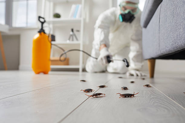 Trusted Rodent Control service in Bossier City, LA - Nex Pest Control