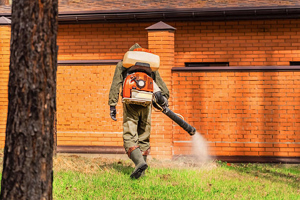 Trusted Ant Control service in Bossier City, LA - Nex Pest Control